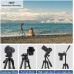 KINGJOY Trípode de cámara de 75 pulgadas para Canon Nikon y monopod con obturador remoto para teléfono y bolsa de transporte.
