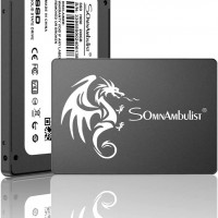 Somnambulist SSD 480GB 2.5 0.276 in 0.28 SATA III 6Gbs Disco duro interno d...