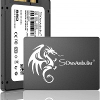 Somnambulist SSD 240GB 2.5 0.276 in 0.28 SATA III 6Gbs Disco duro interno d...
